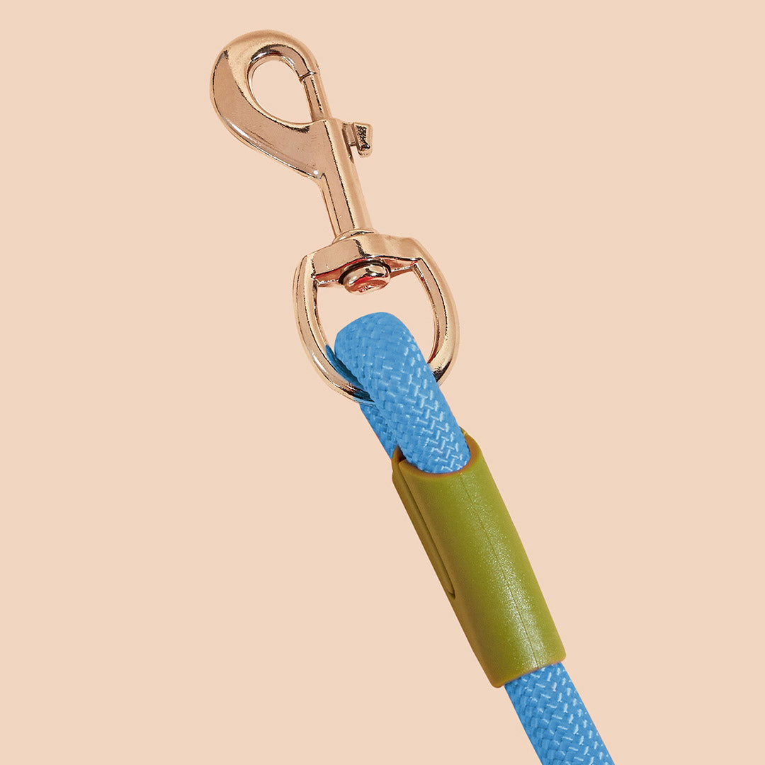 NNEAGS 220cm Multifunction Hands-Free Rope Pet Cat Dog Puppy Double Ended Leash for Walking Training Tracking Obedience Blue