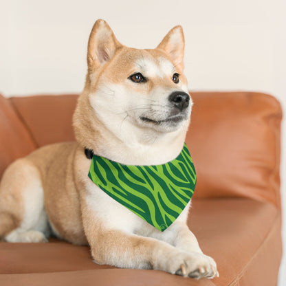 Green Zebra Pet Bandana Collar – Bold Paws Era Design