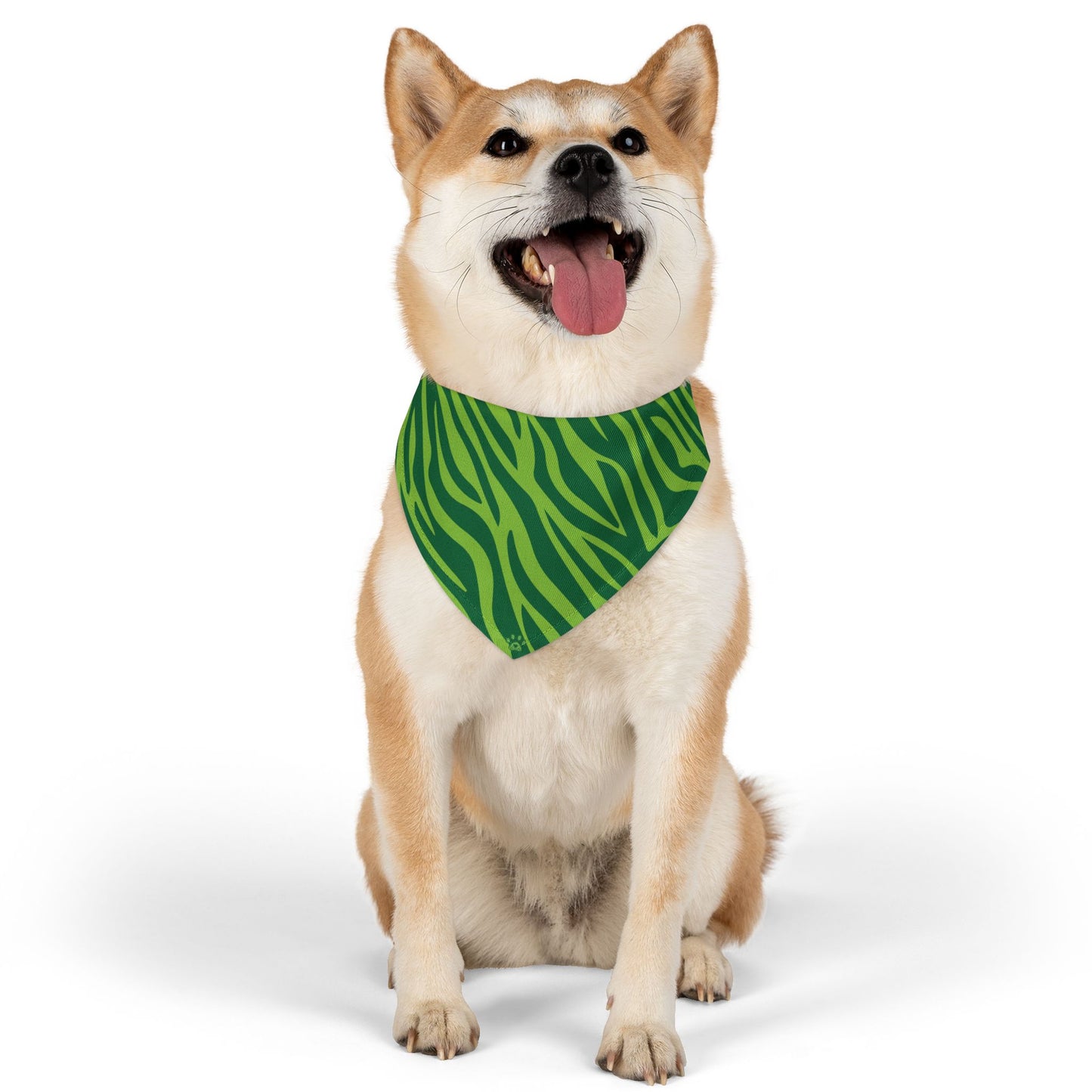 Green Zebra Pet Bandana Collar – Bold Paws Era Design