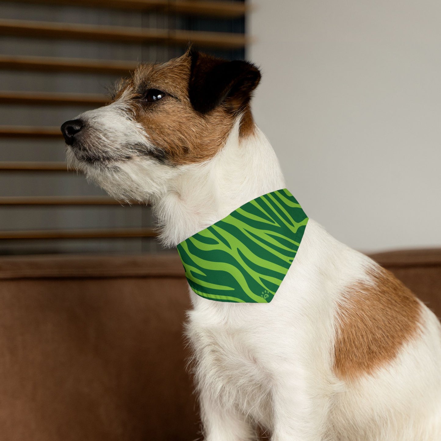 Green Zebra Pet Bandana Collar – Bold Paws Era Design
