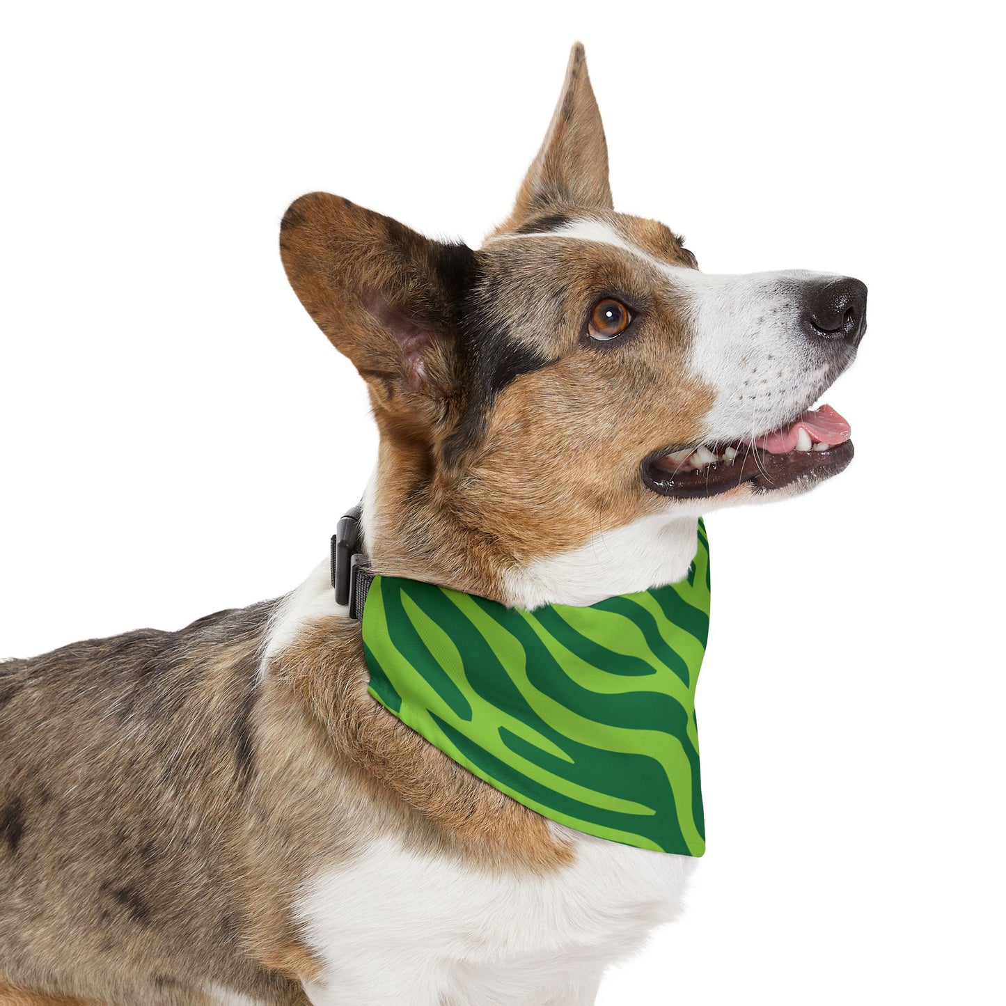 Green Zebra Pet Bandana Collar – Bold Paws Era Design